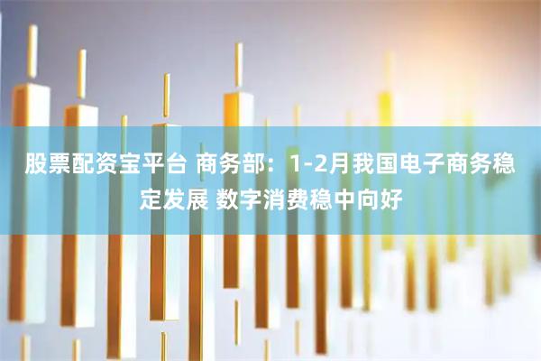 股票配资宝平台 商务部：1-2月我国电子商务稳定发展 数字消费稳中向好